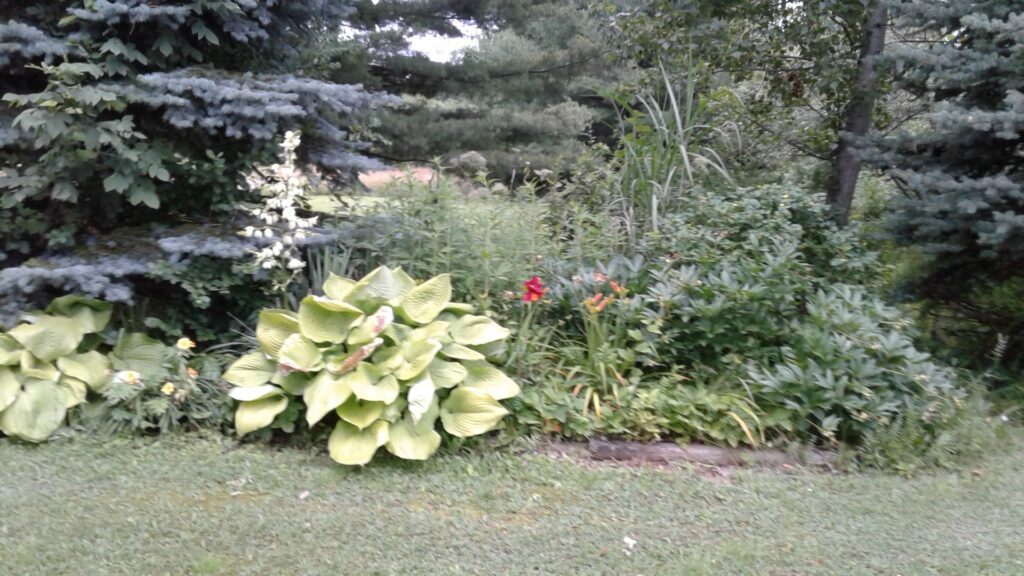 One of the gardens at the Ginger Cat B&B