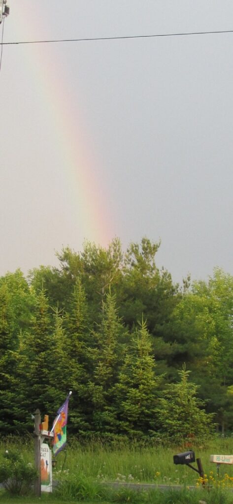 Rainbow at the Ginger Cat B&B