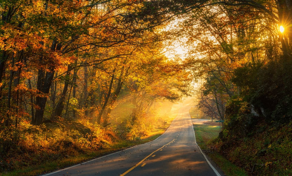 Road-in-Autumn | Schuyler County Lodging and Tourism Association